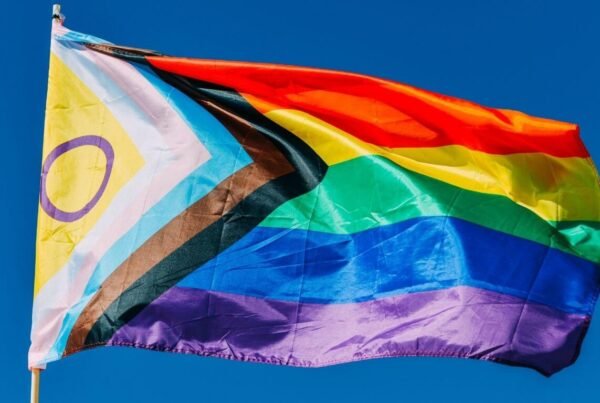 2slgbtqia+ flag image
